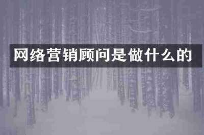 网络营销顾问是做什么的
