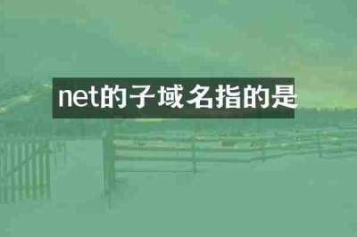 net的子域名指的是