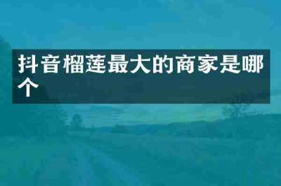 抖音榴莲最大的商家是哪个