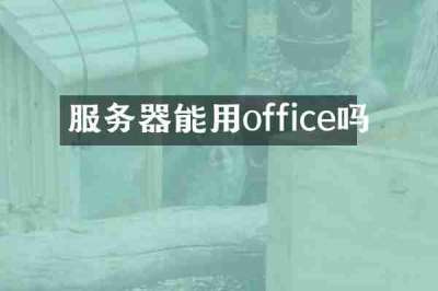 服务器能用office吗