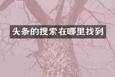 头条的搜索在哪里找到