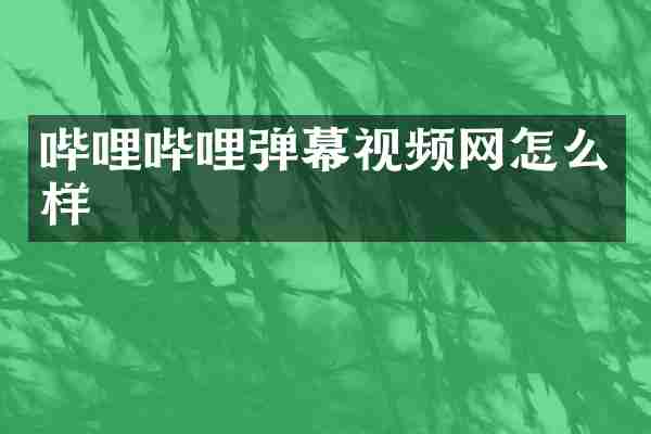 哔哩哔哩弹幕视频网怎么样