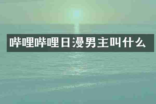 哔哩哔哩日漫男主叫什么