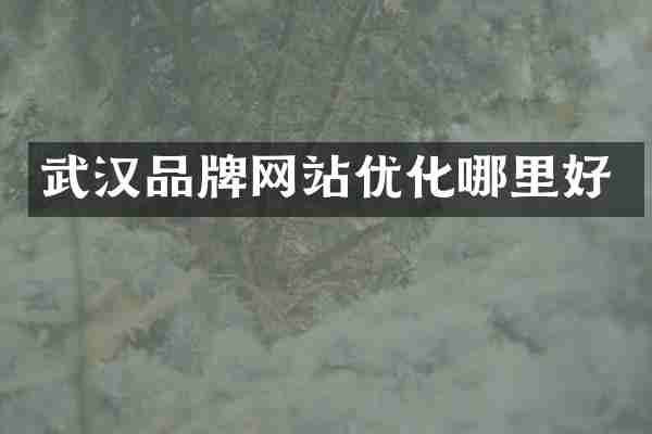 武汉品牌网站优化哪里好
