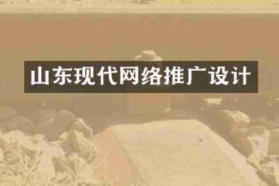 山东现代网络推广设计