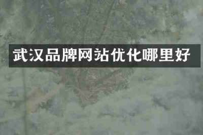 武汉品牌网站优化哪里好
