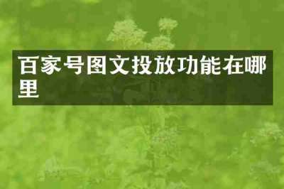 百家号图文投放功能在哪里