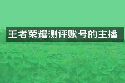 王者荣耀测评账号的主播