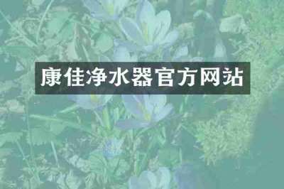 康佳净水器官方网站