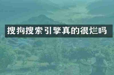 搜狗搜索引擎真的很烂吗