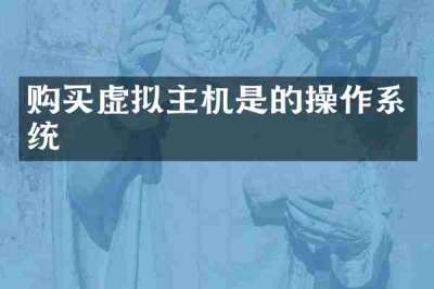 购买虚拟主机是的操作系统