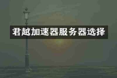 君越加速器服务器选择