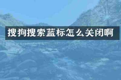 搜狗搜索蓝标怎么关闭啊