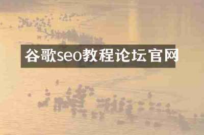 谷歌seo教程论坛官网