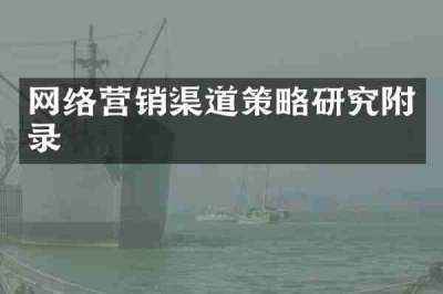 网络营销渠道策略研究附录
