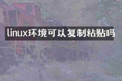 linux环境可以复制粘贴吗