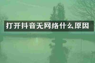 打开抖音无网络什么原因
