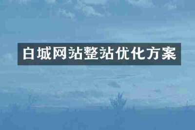 白城网站整站优化方案