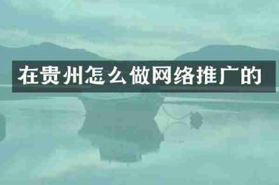 在贵州怎么做网络推广的
