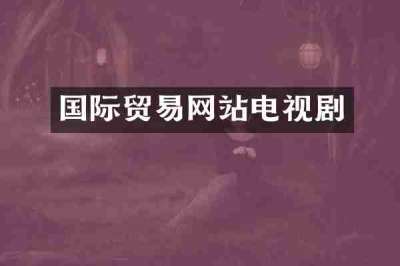 国际贸易网站电视剧