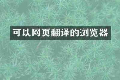 可以网页翻译的浏览器