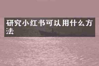 研究小红书可以用什么方法
