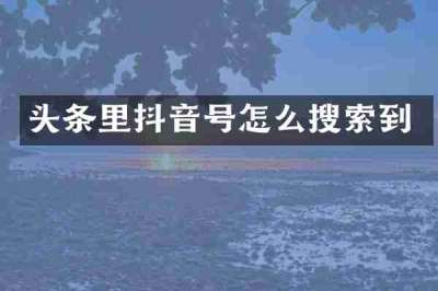 头条里抖音号怎么搜索到
