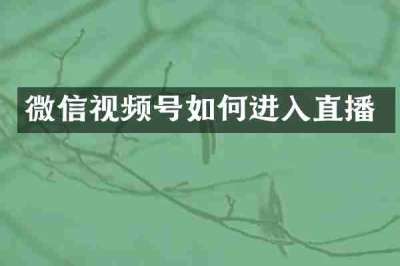 微信视频号如何进入直播