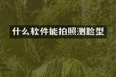 什么软件能拍照测脸型