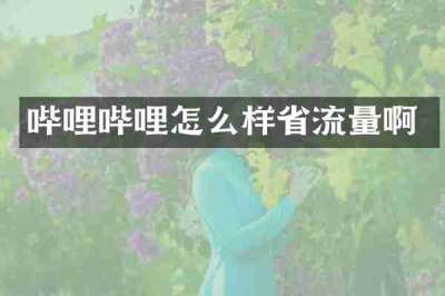 哔哩哔哩怎么样省流量啊