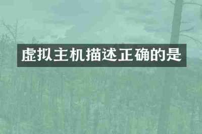 虚拟主机描述正确的是