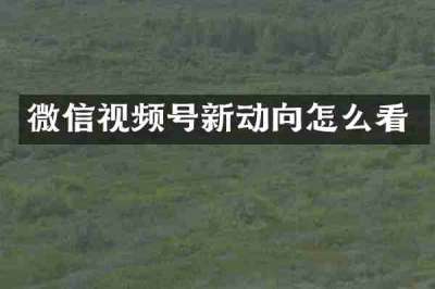 微信视频号新动向怎么看