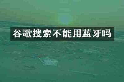 谷歌搜索不能用蓝牙吗