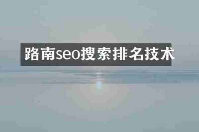 路南seo搜索排名技术