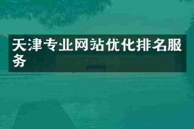 天津专业网站优化排名服务