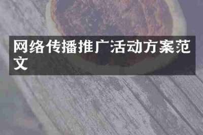 网络传播推广活动方案范文