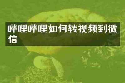 哔哩哔哩如何转视频到微信