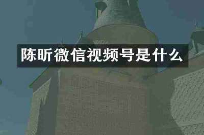 陈昕微信视频号是什么