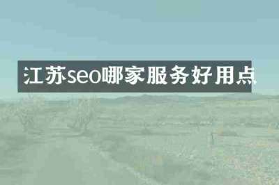 江苏seo哪家服务好用点