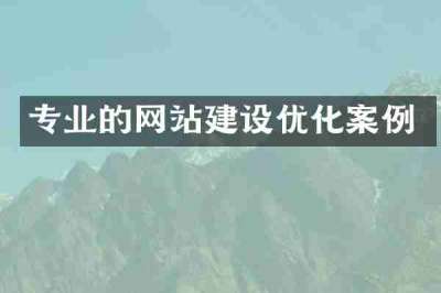 专业的网站建设优化案例