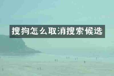 搜狗怎么取消搜索候选