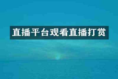 直播平台观看直播打赏