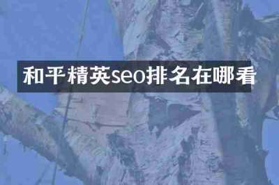 和平精英seo排名在哪看