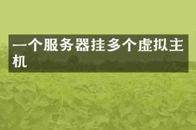 一个服务器挂多个虚拟主机