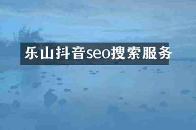 乐山抖音seo搜索服务