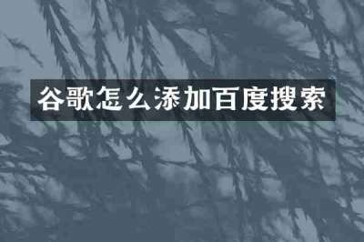 谷歌怎么添加百度搜索