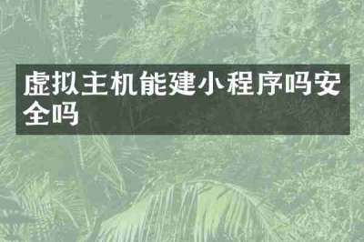 虚拟主机能建小程序吗安全吗