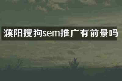 濮阳搜狗sem推广有前景吗