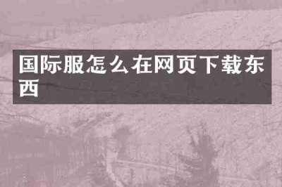 国际服怎么在网页下载东西