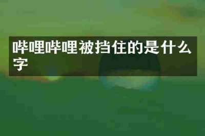 哔哩哔哩被挡住的是什么字